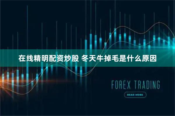 在线精明配资炒股 冬天牛掉毛是什么原因