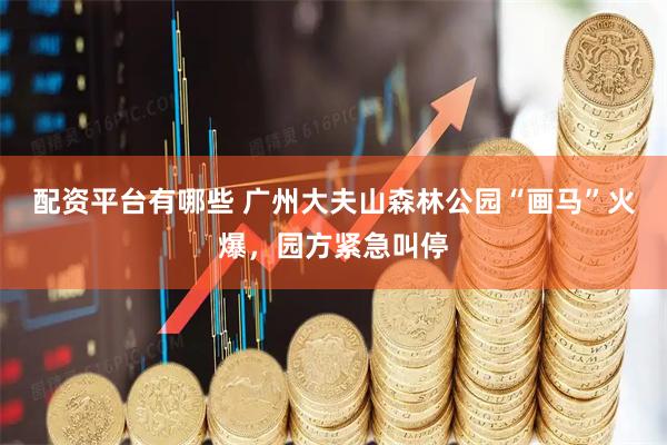 配资平台有哪些 广州大夫山森林公园“画马”火爆，园方紧急叫停